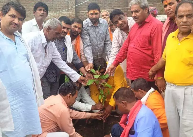 समाज व हर व्यक्ति का दायित्यव है पौधारोपण करना: माली