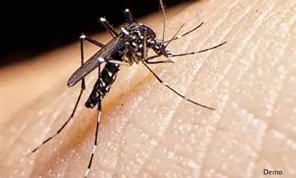 डेंगू और मलेरिया को जड़ से खत्म करने के लिए प्लान तैयार, मच्छर बताएगा कहां किस बीमारी का खतरा ज्यादा
