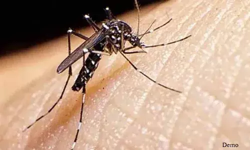 डेंगू और मलेरिया को जड़ से खत्म करने के लिए प्लान तैयार, मच्छर बताएगा कहां किस बीमारी का खतरा ज्यादा