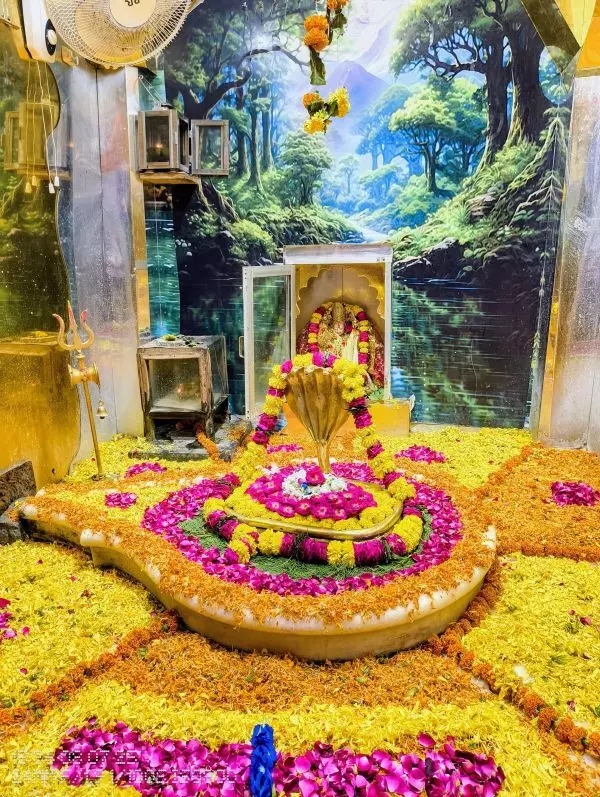 गंगरार में पहली बार डाक कावड़ शिव भक्तों में दिखा उत्साह गंगरार में पहली बार डाक कावड़ शिव भक्तों में दिखा उत्साह