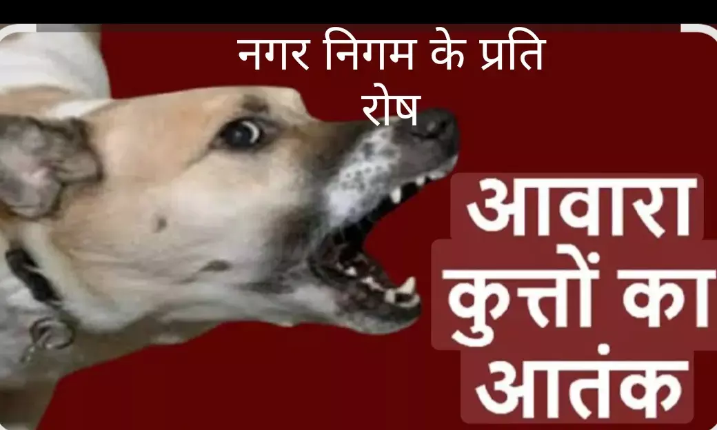 2 बच्चों, मीडिया कर्मी सहित आधा दर्जन लोगों को कुत्ते ने बनाया अपना शिकार ,लोगों में नगर निगम के प्रति रोष