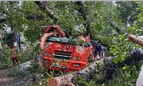 रोडवेज बस पर पेड़ गिरने से शिक्षक, एडीओ समेत पांच की मौत  ; 17 घायल
