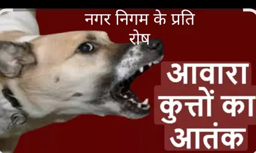 2 बच्चों, मीडिया कर्मी सहित आधा दर्जन लोगों को कुत्ते ने बनाया अपना शिकार ,लोगों में नगर निगम के प्रति रोष