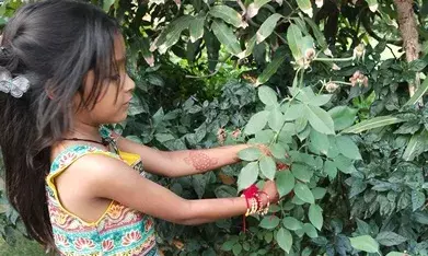 ननिहाल में पहले पौधे को बांधी राखी फिर मौसेरे भाइयों को