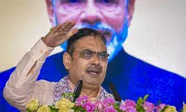 रिप्स के तहत 765.78 करोड़ की रिकॉर्ड सब्सिडी जारी