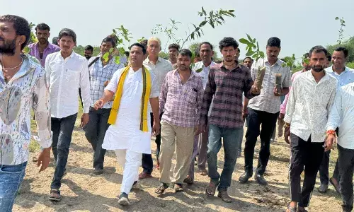 कार्यकर्ताओं के साथ विधायक  ने वृक्षारोपण कर  देखभाल का लिया संकल्प