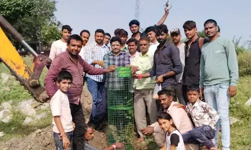 रायपुर में 200 ट्री गार्ड भेंट किए