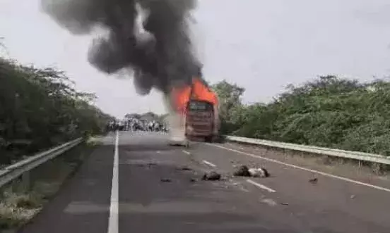 रामदेवरा जा रहे 2 भाइयों को बस ने कुचला,मौत