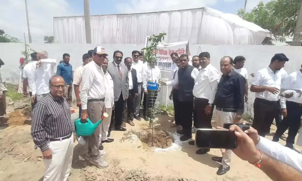 एक पेड़ माँ के नाम अभियान के तहत गुलाबपुरा कोर्ट क्षेत्र में हुआ पौधारोपण