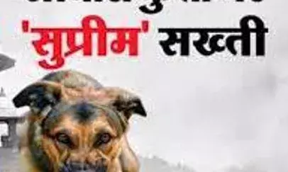 बोले भीलवाड़ा : आवारा कुत्तों के खौफ से दहशत में जिंदगी,  बहुत दर्द झेला है..., सुप्रीम कोर्ट के आदेश पर बोले   कुत्तों के हमलों के शिकार लोग.....