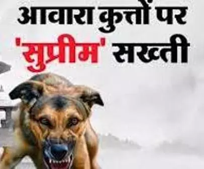 बोले भीलवाड़ा : आवारा कुत्तों के खौफ से दहशत में जिंदगी,  बहुत दर्द झेला है..., सुप्रीम कोर्ट के आदेश पर बोले   कुत्तों के हमलों के शिकार लोग.....