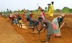 मनरेगा घोटाले पर मंत्री का बड़ा बयान: करौली में 26 करोड़ की अनियमितता, जांच जारी