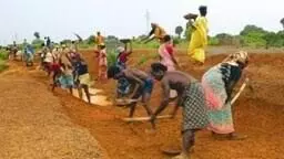 मनरेगा घोटाले पर मंत्री का बड़ा बयान: करौली में 26 करोड़ की अनियमितता, जांच जारी