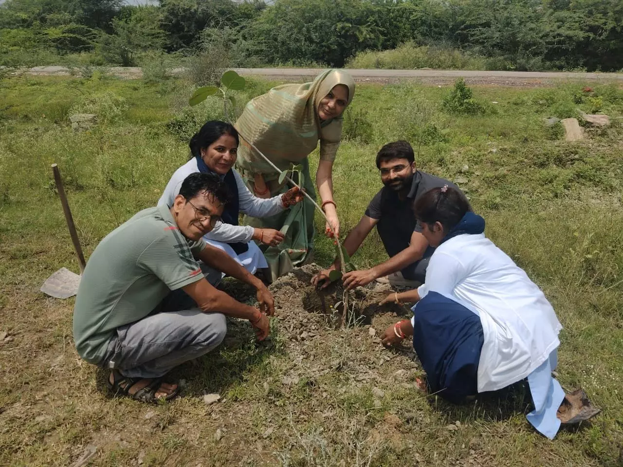 शक्करगढ़ में लगाए गए 51 पौधे शक्करगढ़ में लगाए गए 51 पौधे