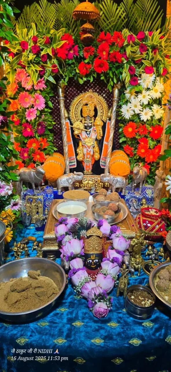 घर-घर गूंजा ‘जय कन्हैया लाल की’ भक्ति और उल्लास, मंदिरों और घरों में सजी झांकियां घर-घर गूंजा ‘जय कन्हैया लाल की’ भक्ति और उल्लास, मंदिरों और घरों में सजी झांकियां