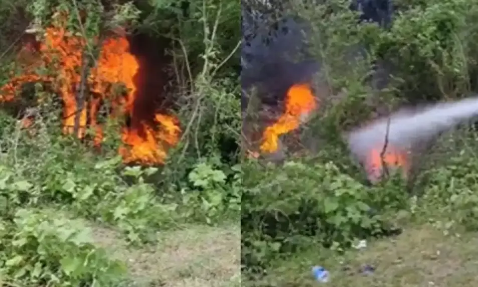 दो कारों में टक्कर, आग लगी आठ लोगों की मौत,कई लोग घायल दो कारों में टक्कर, आग लगी आठ लोगों की मौत,कई लोग घायल