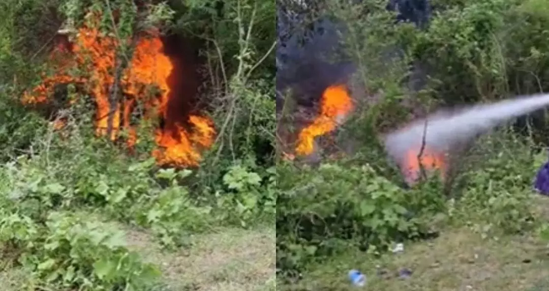 दो कारों में टक्कर, आग लगी आठ लोगों की मौत,कई लोग घायल दो कारों में टक्कर, आग लगी आठ लोगों की मौत,कई लोग घायल