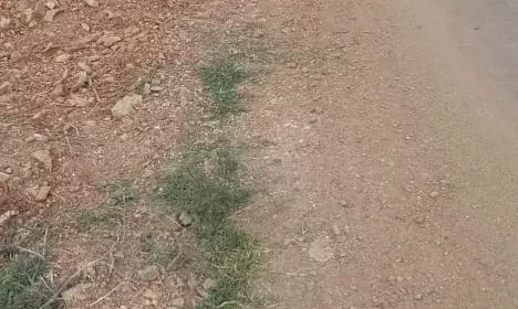 सड़क निर्माण डेढ़ साल में ही उखड़ा, राहगीरों की बढ़ी परेशानी; जिम्मेदारों पर उठे सवाल सड़क निर्माण डेढ़ साल में ही उखड़ा, राहगीरों की बढ़ी परेशानी; जिम्मेदारों पर उठे सवाल