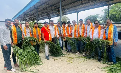 विश्व फोटोग्राफर दिवस पर गायों को हरा चारा खिलाकर की गौ सेवा