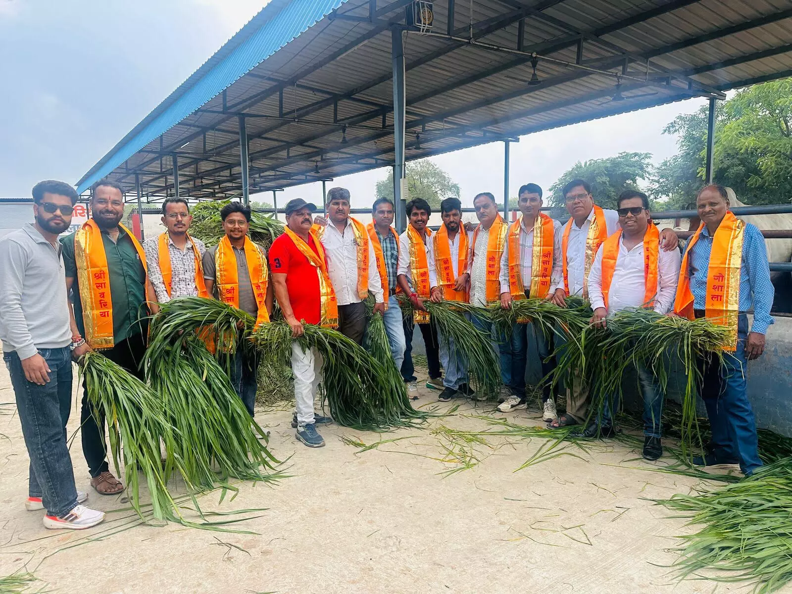 विश्व फोटोग्राफर दिवस पर गायों को हरा चारा खिलाकर की गौ सेवा