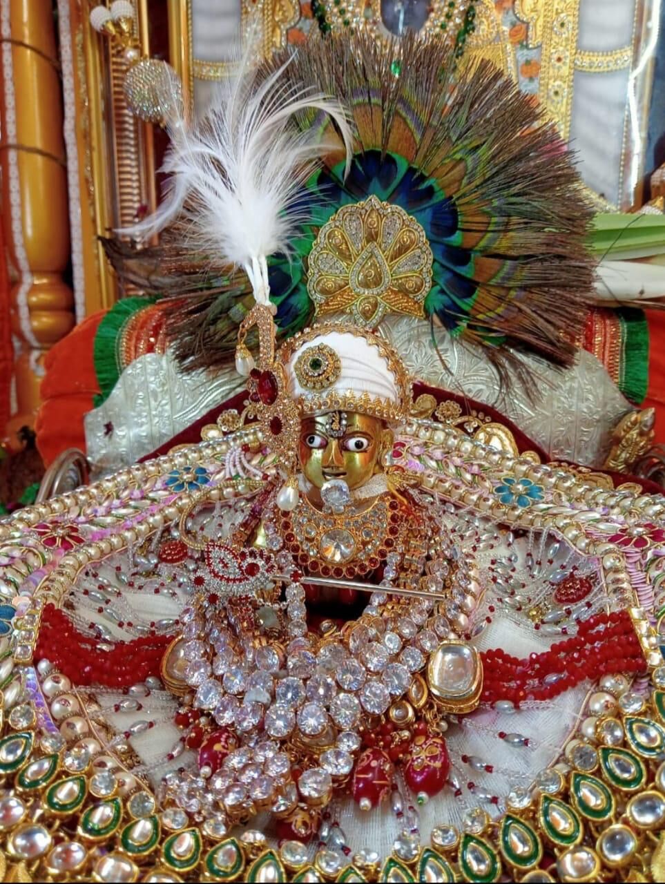 पदयात्रा 28 अगस्त को पवित्र ध्वज के साथ प्रांरभ होगी पदयात्रा