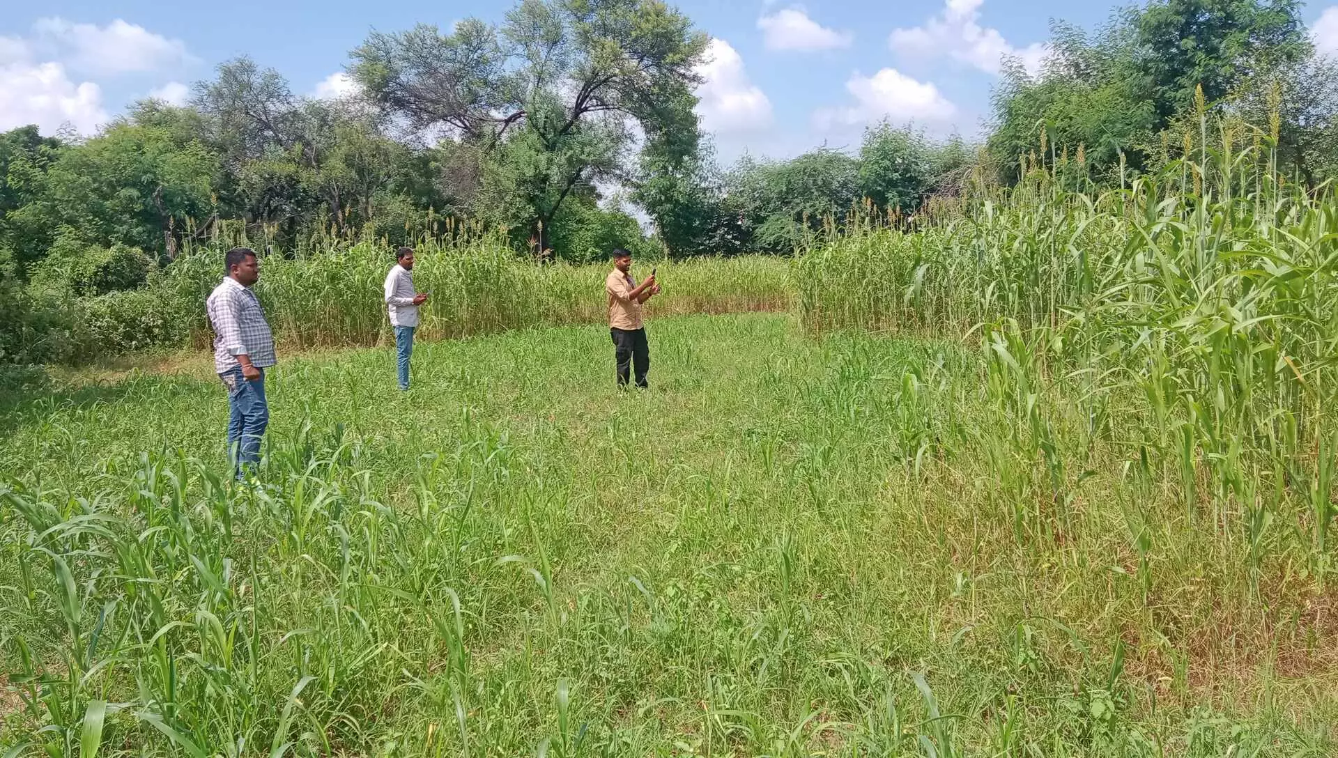 खेतों में जारी है पटवारियों का गिरदावरी रिपोर्ट कार्य खेतों में जारी है पटवारियों का गिरदावरी रिपोर्ट कार्य