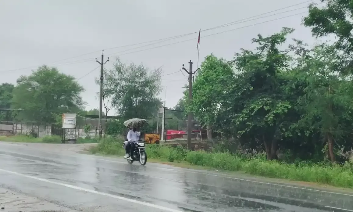 सवाईपुर क्षेत्र में इंद्रदेव मेहरबान, फसलों को मिला नया जीवनदान