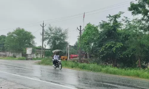 सवाईपुर क्षेत्र में इंद्रदेव मेहरबान, फसलों को मिला नया जीवनदान