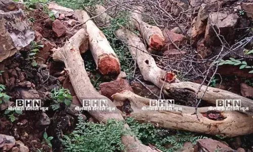 वृक्षों की कटाई से ग्रामीणों में रोष वृक्षों की कटाई से ग्रामीणों में रोष