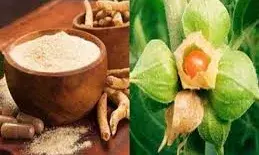 तनाव से लेकर यौन शक्ति तक – हर परेशानी का आयुर्वेदिक हल