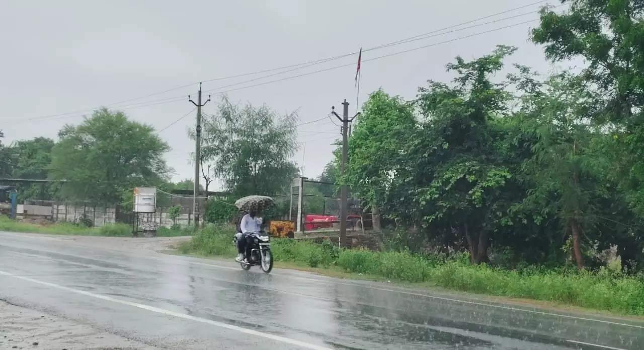 सवाईपुर क्षेत्र में इंद्रदेव मेहरबान, फसलों को मिला नया जीवनदान