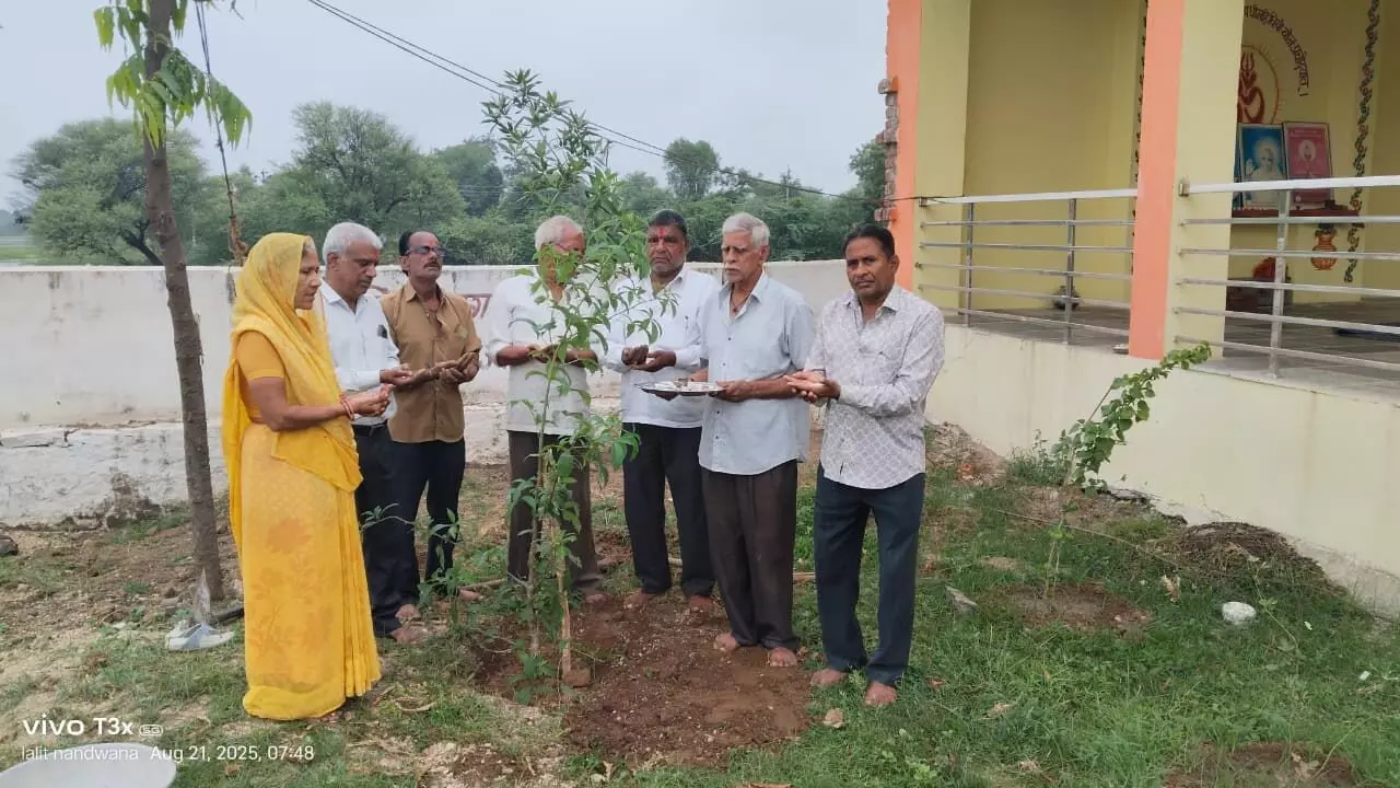 कल्पवृक्ष के जोड़ा का किया विधिवत रोपण, लिया पर्यावरण संरक्षण संकल्प कल्पवृक्ष के जोड़ा का किया विधिवत रोपण, लिया पर्यावरण संरक्षण संकल्प