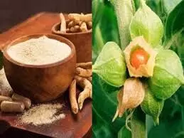 तनाव से लेकर यौन शक्ति तक – हर परेशानी का आयुर्वेदिक हल