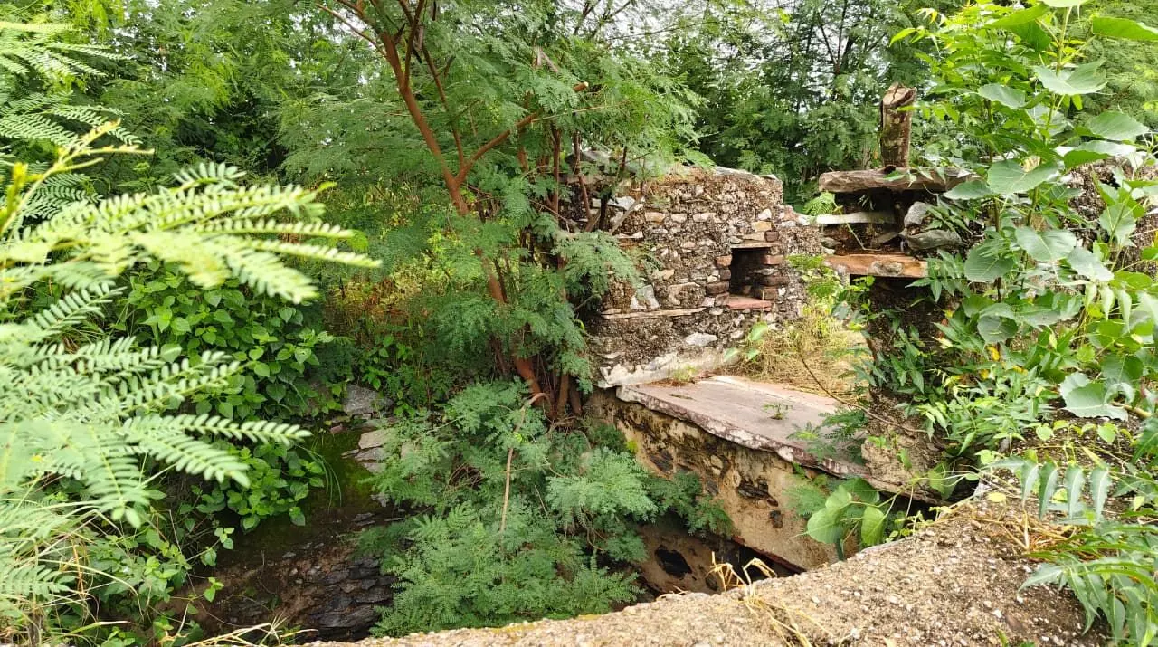 ढ़ेलाणा में आधा दर्जन से अधिक कुओं को बनाया निशाना, केबल स्टार्टर व मोटर चोरी ढ़ेलाणा में आधा दर्जन से अधिक कुओं को बनाया निशाना, केबल स्टार्टर व मोटर चोरी