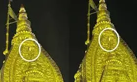 काशी में चमत्कार! विश्वनाथ धाम के शिखर पर प्रकट हुआ मां लक्ष्मी का वाहन सफेद उल्लू