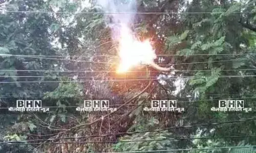 पेड़ो की छगाई नही होने से लग रही विधुत तारों में आग