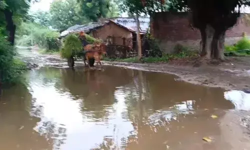 होलिरड़ा में पानी निकासी नहीं होने से सड़क पर भर पानी, ग्रामीण परेशान