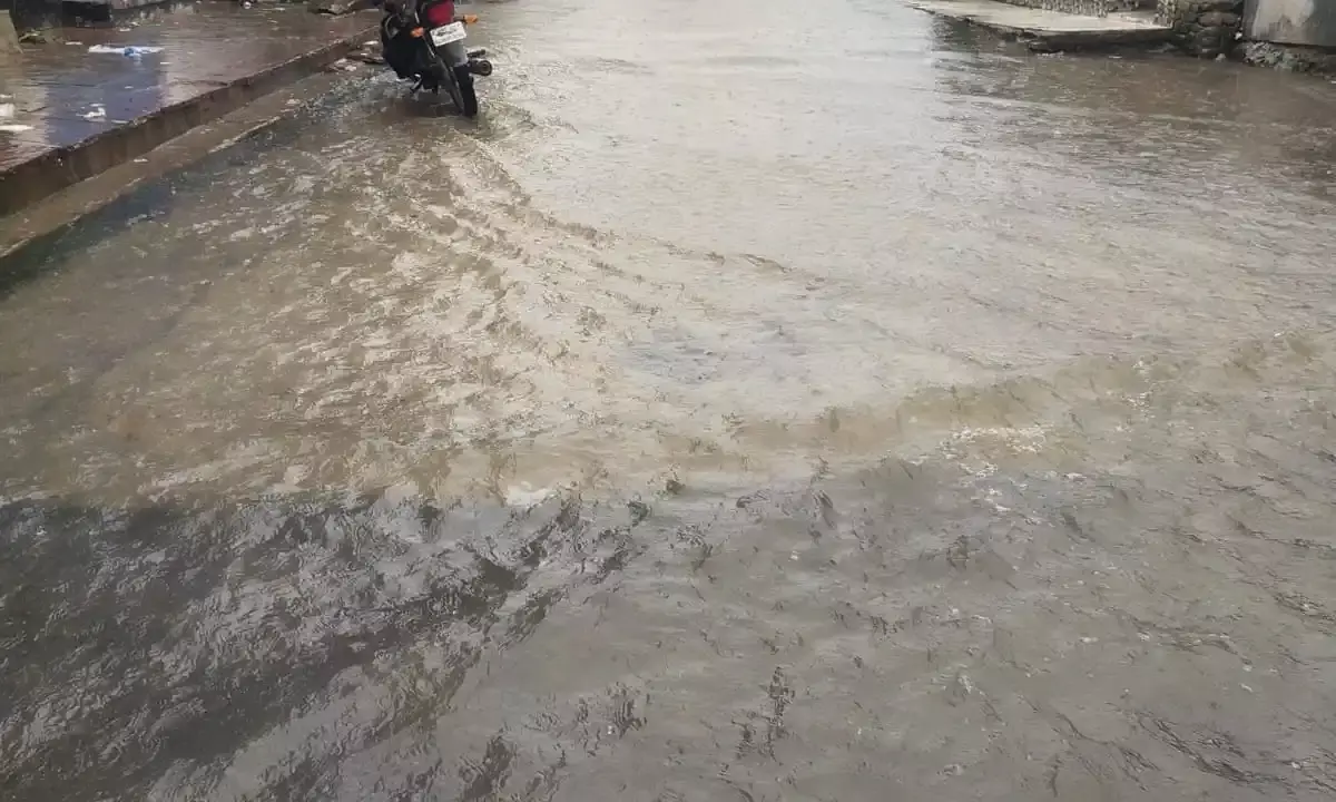 पिवनिया तालाब की चादर चली