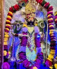 आज गढ़बोर चारभुजा नाथ के श्रृंगार रुप में सजे सांगानेर श्याम आज गढ़बोर चारभुजा नाथ के श्रृंगार रुप में सजे सांगानेर श्याम