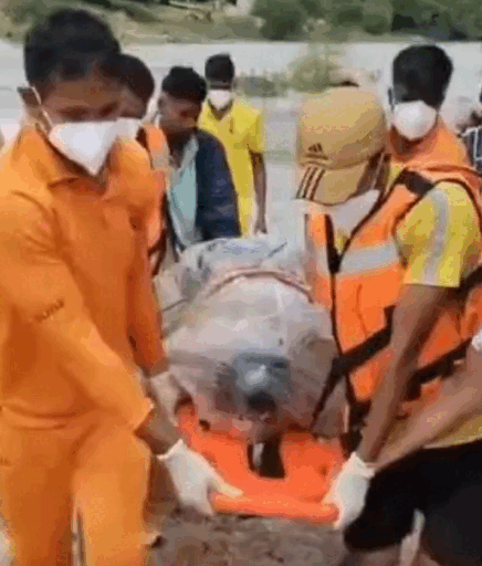 स्कूल बंक कर गया गोवटा बांध, मौत बन गई नहाने की मस्ती”,48 घंटे बाद मिला शव स्कूल बंक कर गया गोवटा बांध, मौत बन गई नहाने की मस्ती”,48 घंटे बाद मिला शव