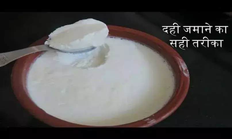 दही जमाने की टेंशन खत्म...मिनटों में घर पर जमेगी दही, बस फॉलो करें ये अनोखी टिप्स
