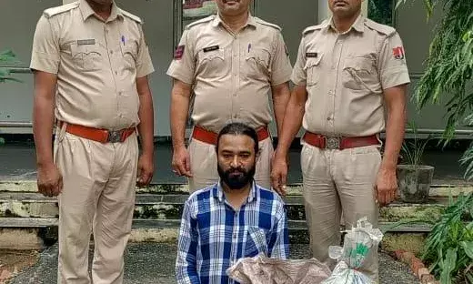 12 लाख रुपये कीमत का 25 किलो गांजा पकड़ा, एक गिरफ्तार