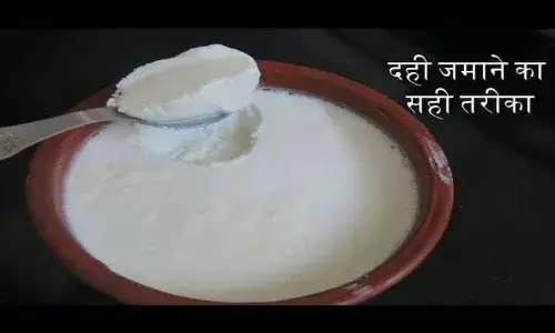 दही जमाने की टेंशन खत्म...मिनटों में घर पर जमेगी दही, बस फॉलो करें ये अनोखी टिप्स