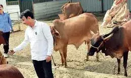 गोपाल रत्न पुरस्कार-2025: देशी नस्लों के संरक्षण को बढ़ावादे  जीते ,5 लाख