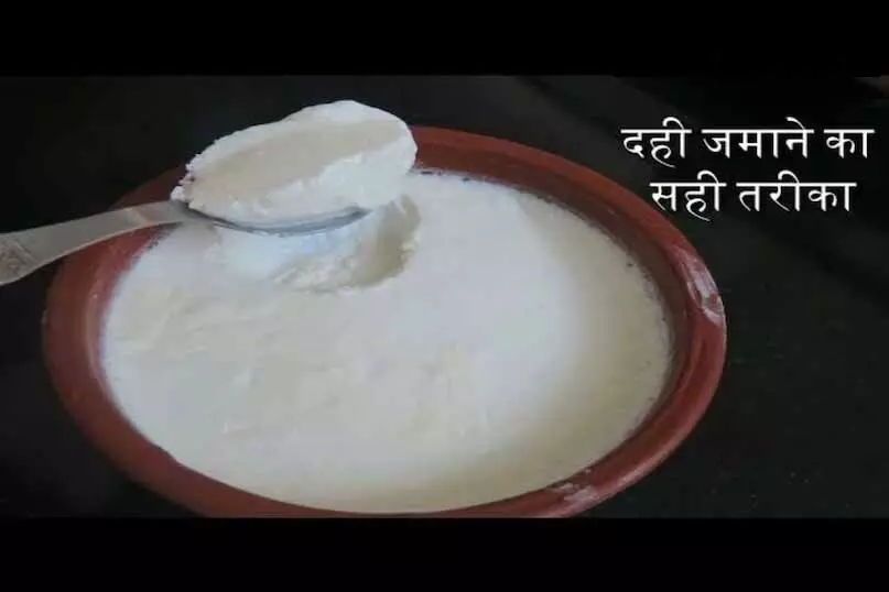दही जमाने की टेंशन खत्म...मिनटों में घर पर जमेगी दही, बस फॉलो करें ये अनोखी टिप्स