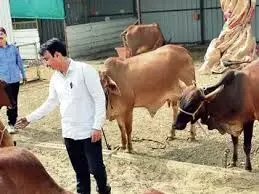 गोपाल रत्न पुरस्कार-2025: देशी नस्लों के संरक्षण को बढ़ावादे  जीते ,5 लाख