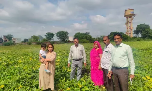 कृषि पर्यवेक्षक फसलो में लगने वाले कीट व रोगो के नियन्त्रण की जानकारी किसानो को देवे- डा. राठौड़