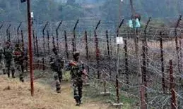 एलओसी के पास घुसपैठ की कोशिश  ,   दो आतंकी ढेर