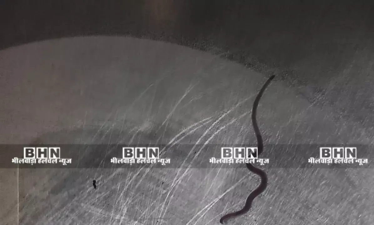 जन स्वास्थ्य विभाग की लापरवाही, नल के पानी में निकला सपोला