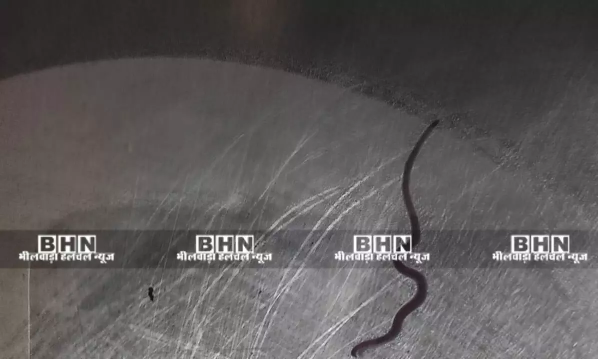 जन स्वास्थ्य विभाग की लापरवाही, नल के पानी में निकला सपोला जन स्वास्थ्य विभाग की लापरवाही, नल के पानी में निकला सपोला